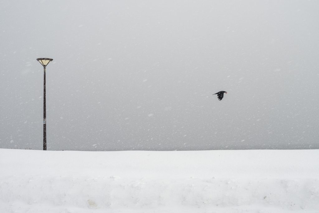 Le bruit de la neige ©Catherine Henriette courtesy galerie SIT DOWN