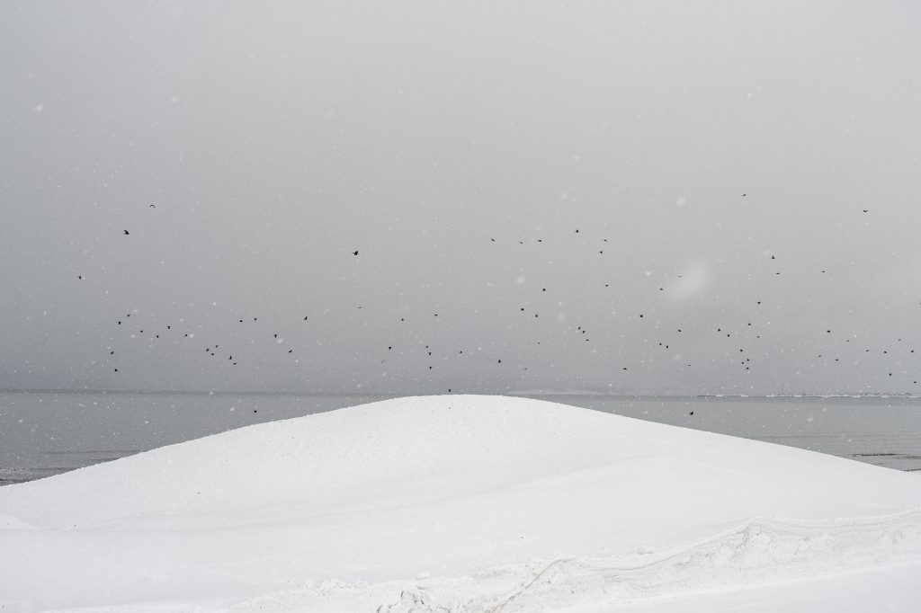 Le bruit de la neige ©Catherine Henriette courtesy galerie SIT DOWN