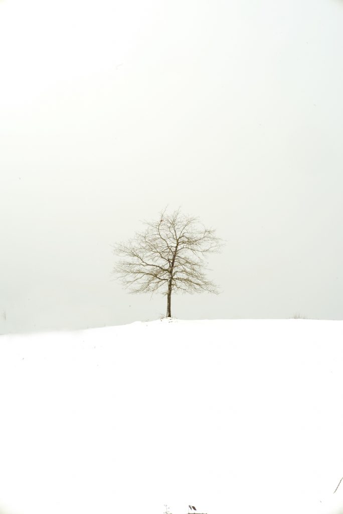 Cirque de Lescun #3-2018 ©Catherine Henriette courtesy galerie Sit Down