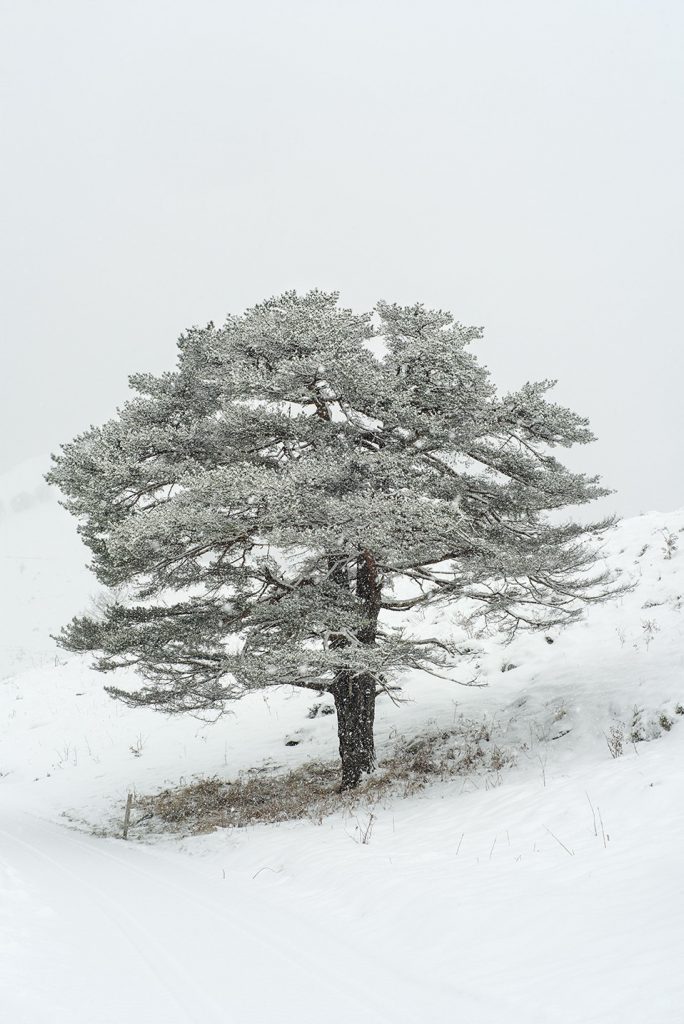 CIRQUE DE LESCUN ©Catherine Henriette courtesy galerie Sit Down