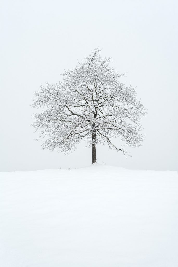 CIRQUE DE LESCUN ©Catherine Henriette courtesy galerie Sit Down