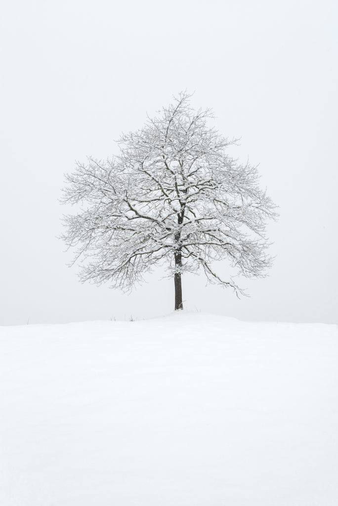 Cirque de Lescun #12, 2019©Catherine Henriette courtesy galerie Sit Down