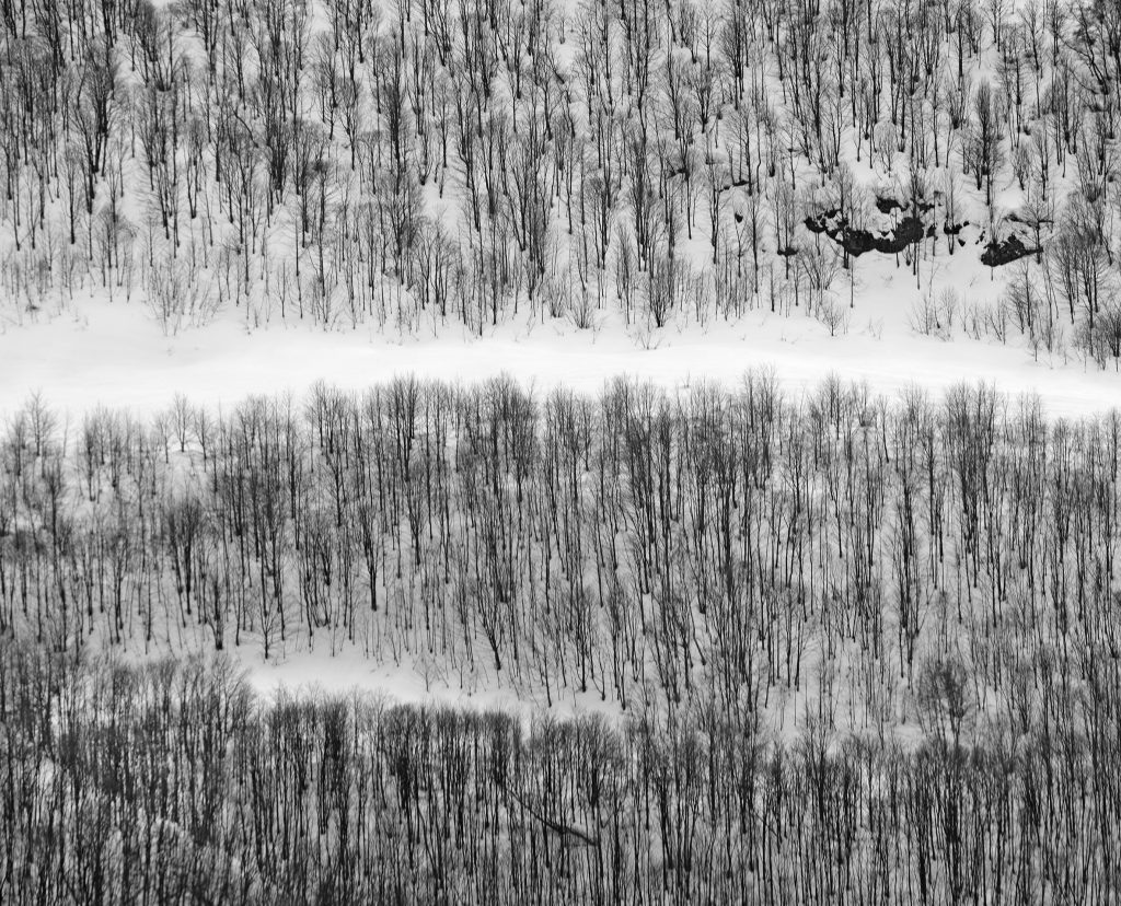 ITALY. Piémont 7. Février 2009. 

Vallée PO. A partir d'Ostana en montant d'Ostana vers Pian de la Regina.
 
(These pictures were initially done for a B/W result and  with a 6x7 viewfinder )