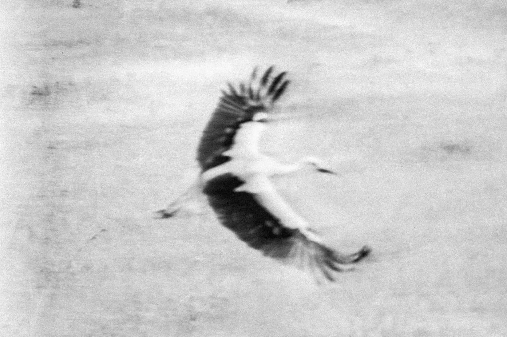 Sous terre, Sans titre #03, Pologne, 2023