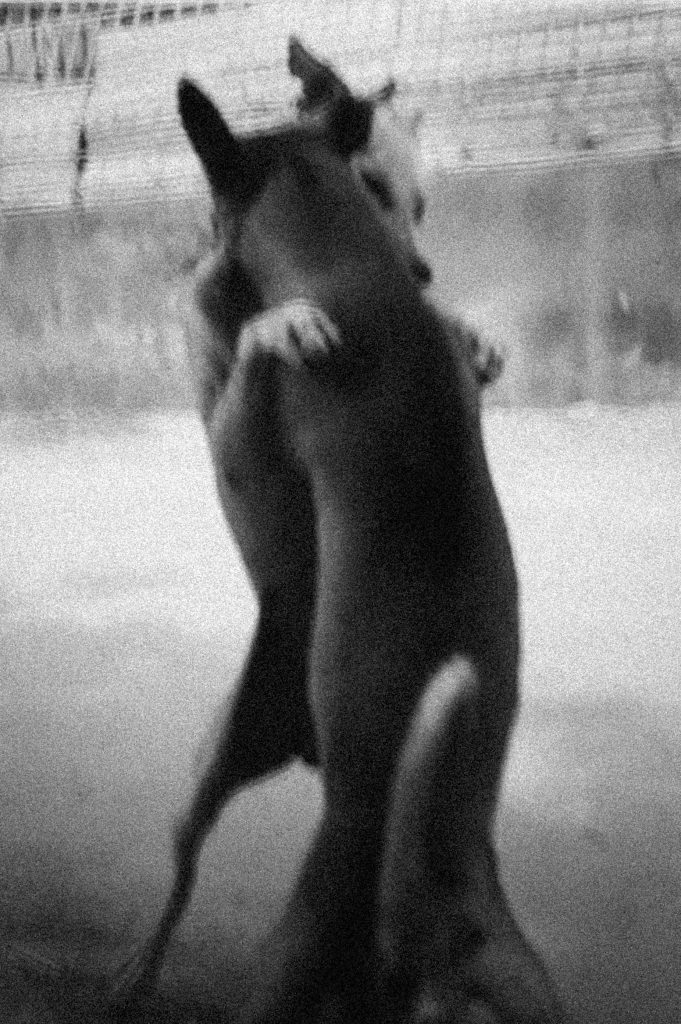 Sous terre, Sans titre #08, Lettonie, 2023 ©Antoine Lecharny courtesy galerie Sit Down