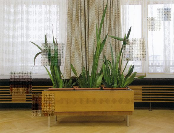 Plants, former offices of the state secret police@ Diane Meyer courtesy galerie Sit Down