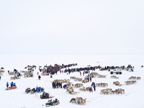 Charles Xelot, Reindeer race, 2016 © galerie Sit Down